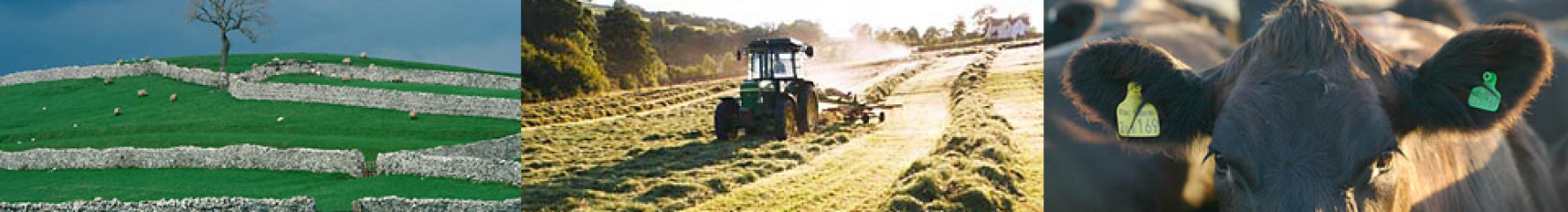 gallery/sites-default-themes-cjctheme-images-banners-small-1