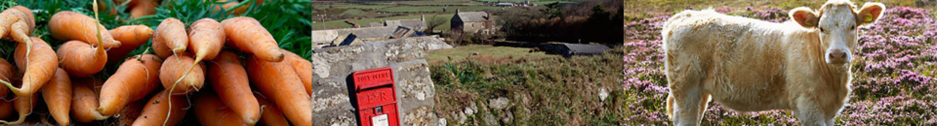 gallery/sites-default-themes-cjctheme-images-banners-small-1